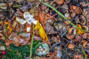 Residuos sólidos orgánicos de jardín y cocina para compostar