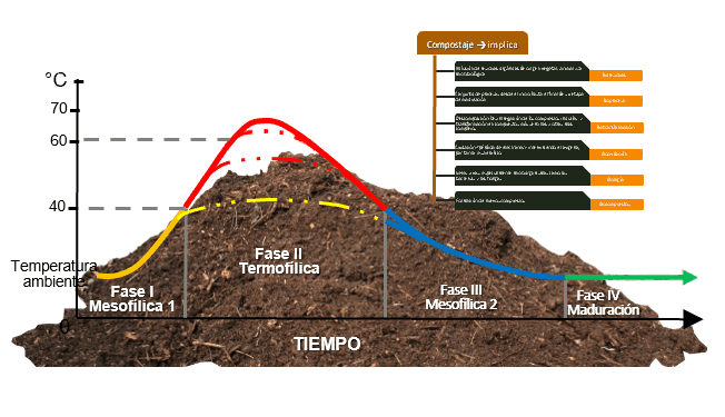 Gráfico y diagrama sobre el compost y el compostaje