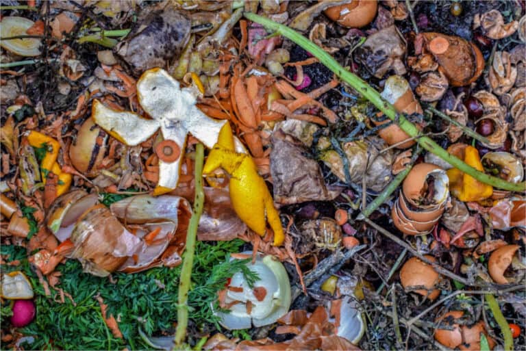 Residuos sólidos orgánicos de jardín y cocina para compostar
